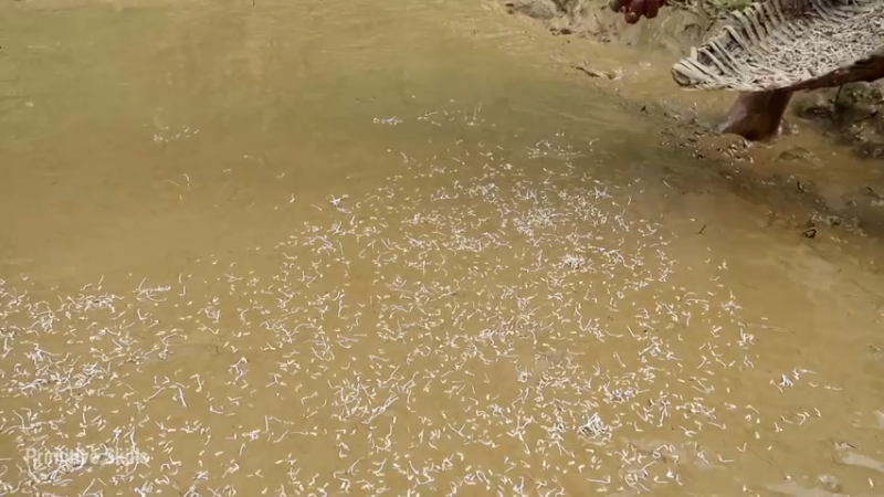 精剪回顾1号基地18育苗13【真人我的世界-空手发展-单人炼铁】