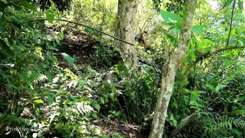 精剪回顾1号基地24打野吃吃吃7【传统技术-真人我的世界-空手发展-单人炼铁】