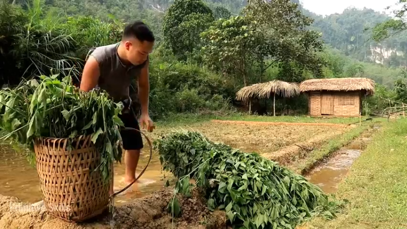 精剪回顾1号基地09腐熟有机肥11【真人我的世界-空手发展-单人炼铁】