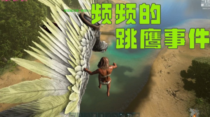 老鹰又又又没耐力啦，就在家门口前几米！！半空跳鹰，最终身亡......