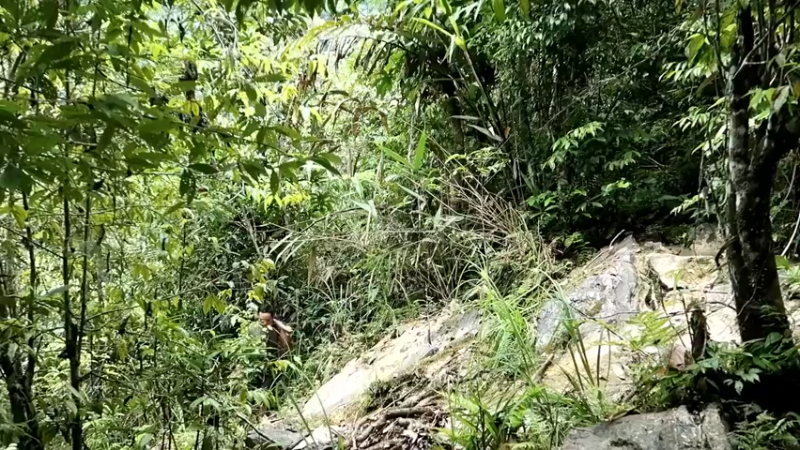 精剪回顾1号基地23农家水田1【传统技术-真人我的世界-空手发展-单人炼铁】