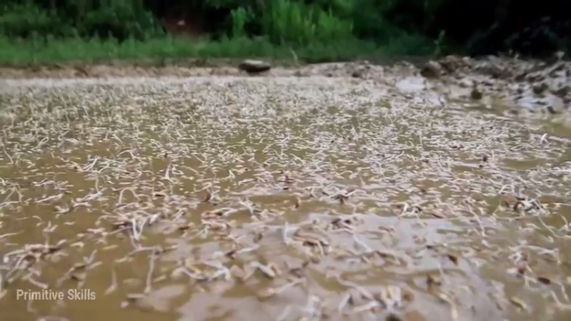 精剪回顾1号基地18育苗14【真人我的世界-空手发展-单人炼铁】