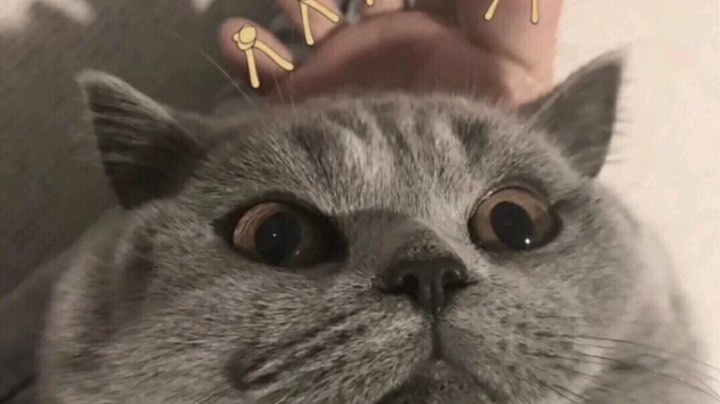 。