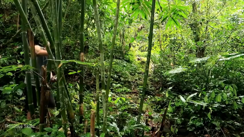 精剪回顾1号基地10竹制捕获篓2【真人我的世界-空手发展-单人炼铁】