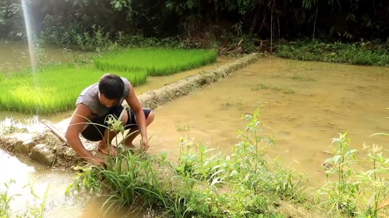 精剪回顾1号基地22水稻种植2【传统技术-真人我的世界-空手发展-单人炼铁】