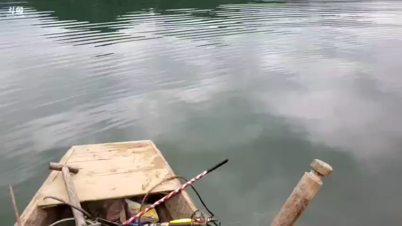 【2021-09-07 10点场】魅力生活i：继续寻找土蜂