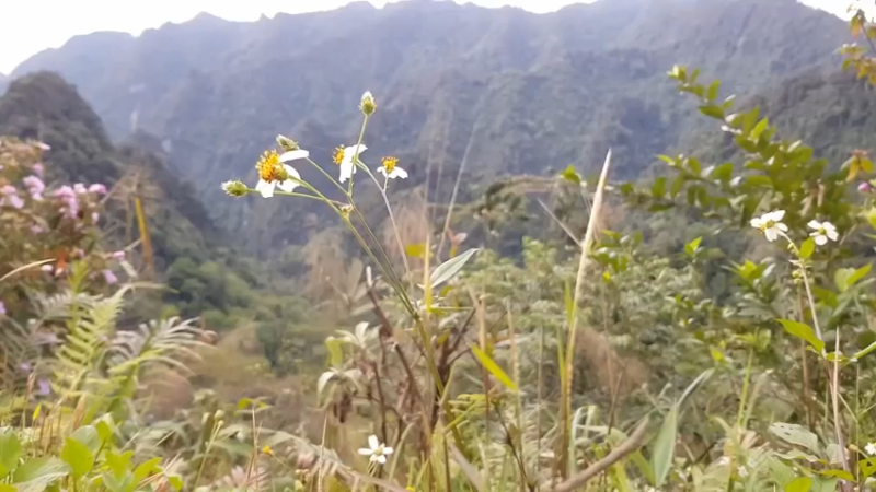 精剪回顾1号基25抓鱼育种1【传统技术-真人我的世界-空手发展-单人炼铁】