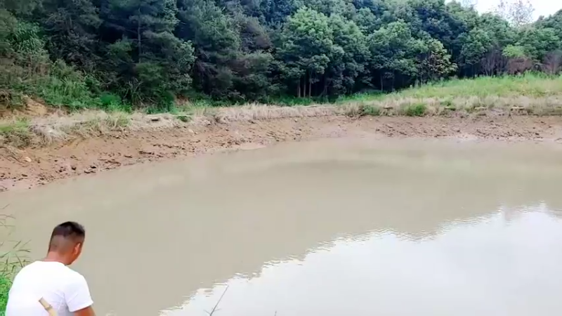 【2021-09-07 12点场】洪湖小肖：怼坑！十点半上线