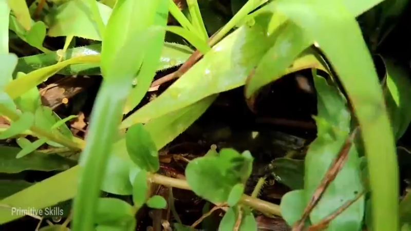 精剪回顾1号基26淡水养殖9【传统技术-真人我的世界-空手发展-单人炼铁】