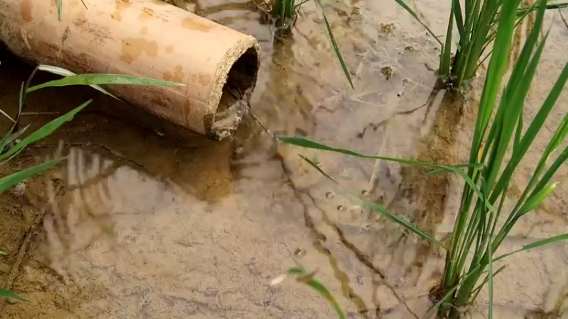 精剪回顾1号基28小鱼苗1【传统技术-真人我的世界-空手发展-单人炼铁】