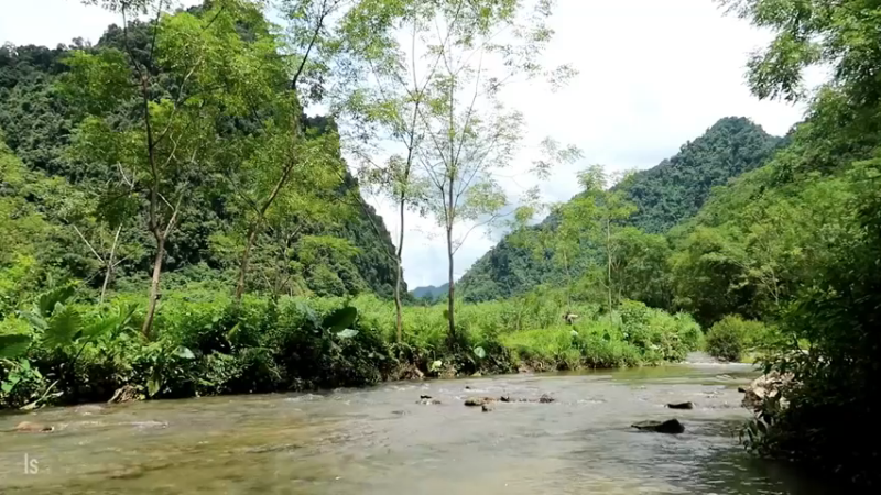 精剪回顾1号基25抓鱼育种3【传统技术-真人我的世界-空手发展-单人炼铁】