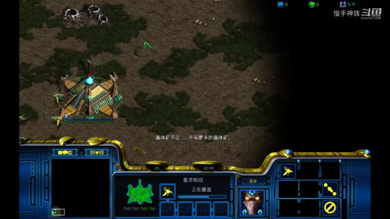 pvt斗魂野外vr甲虫2021-09-07