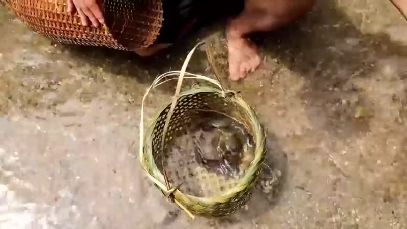 精剪回顾1号基25抓鱼育种13【传统技术-真人我的世界-空手发展-单人炼铁】