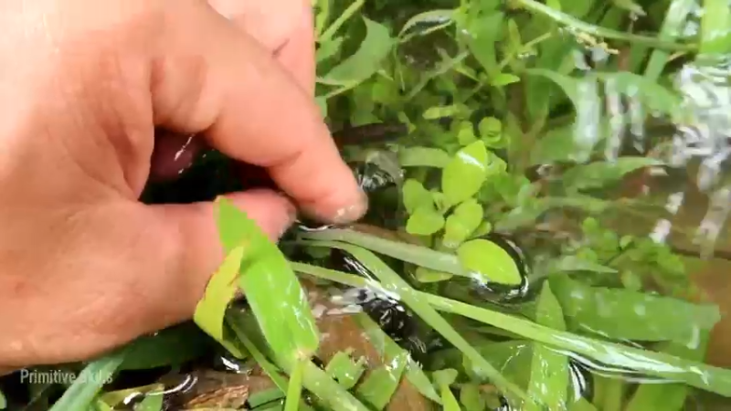 精剪回顾1号基26淡水养殖6【传统技术-真人我的世界-空手发展-单人炼铁】