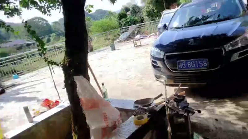 【2021-09-07 15点场】魅力生活i：继续寻找土蜂