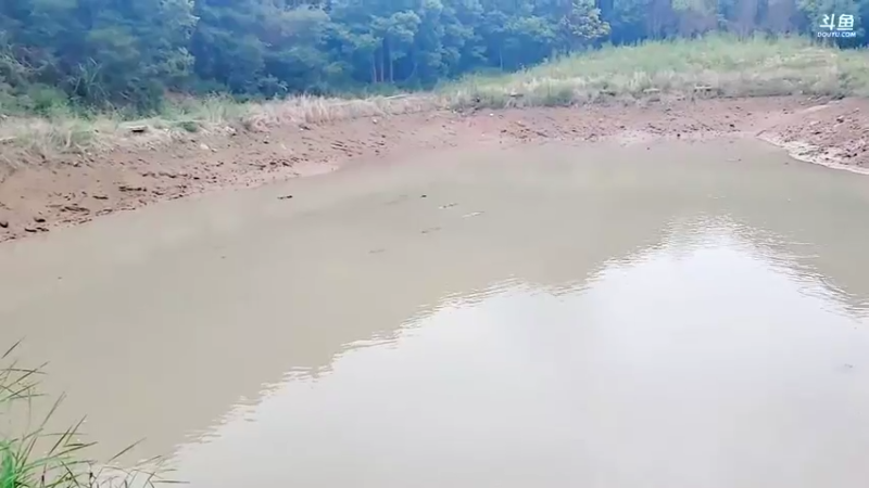 【2021-09-07 12点场】洪湖小肖：怼坑！十点半上线