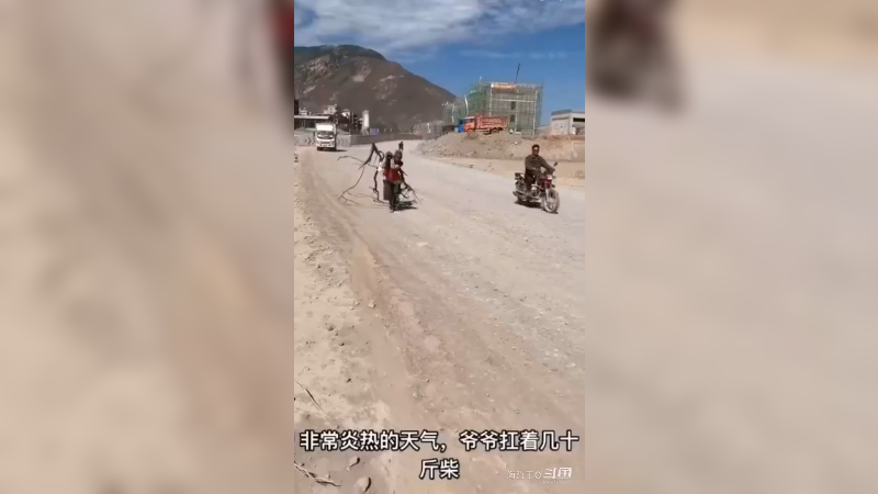 好人好事-小小的身体扛下了几十斤的柴