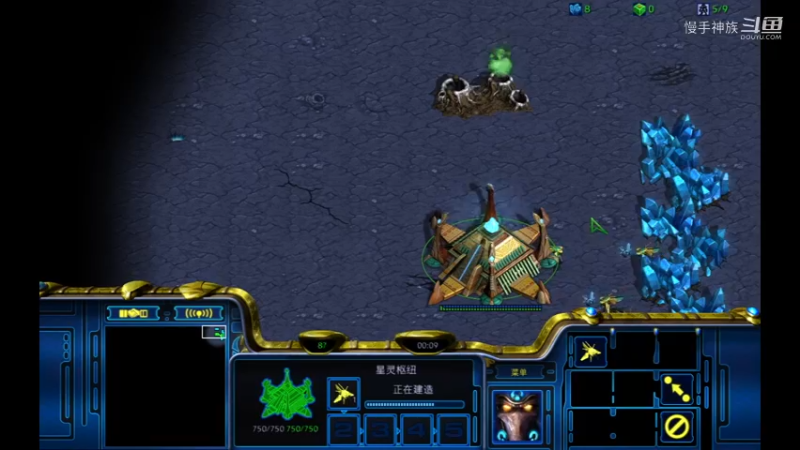 天梯pvp罗双2021-09-07