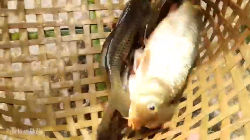 精剪回顾1号基25抓鱼育种14【传统技术-真人我的世界-空手发展-单人炼铁】