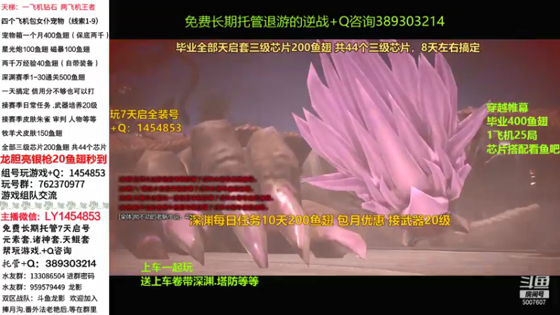 【2021-08-30 17点场】pe龙影：全部3级芯片200鱼翅！共44个三级芯片