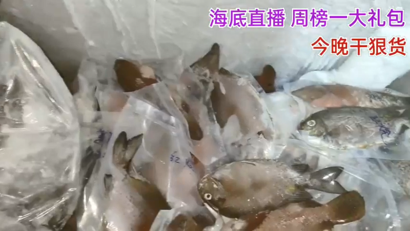 【2021-09-07 22点场】海道丶：干干干就是干5408206