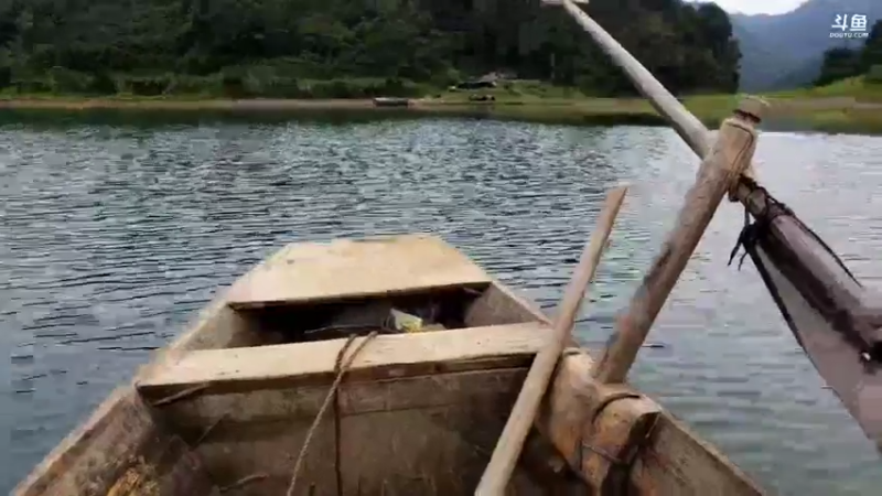 【2021-09-07 14点场】魅力生活i：继续寻找土蜂