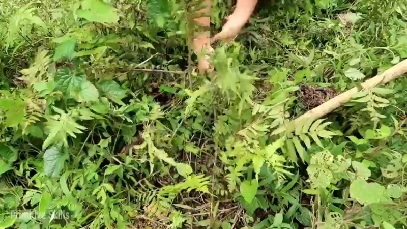 精剪回顾1号基25抓鱼育种2【传统技术-真人我的世界-空手发展-单人炼铁】