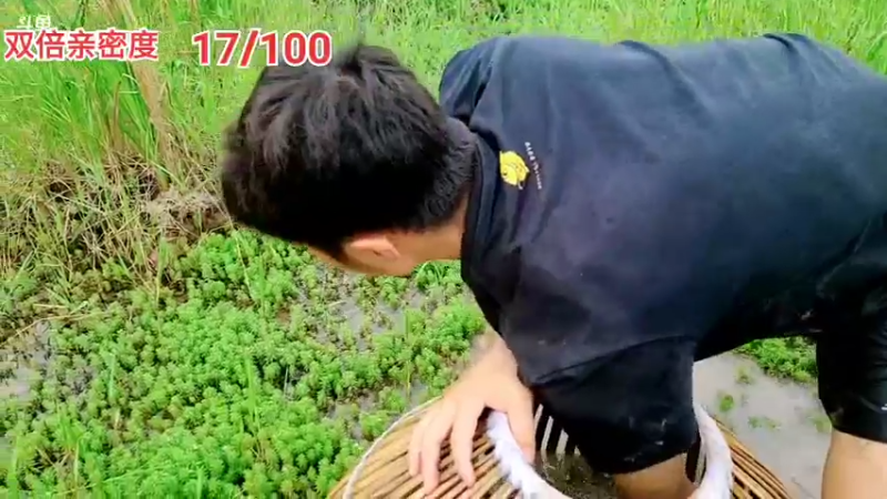 【2021-09-07 13点场】逐梦兄弟：9月的第7天，浑水摸鱼的一天