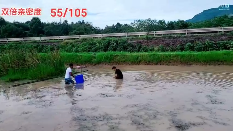 【2021-09-07 17点场】逐梦兄弟：9月的第7天，浑水摸鱼的一天