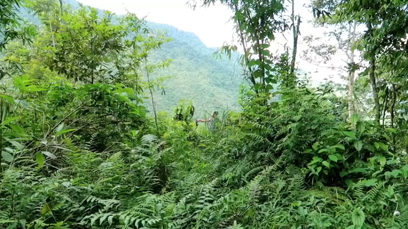 精剪回顾1号基29烧炭来了1大干一场【传统技术-真人我的世界-空手发展-单人炼铁】