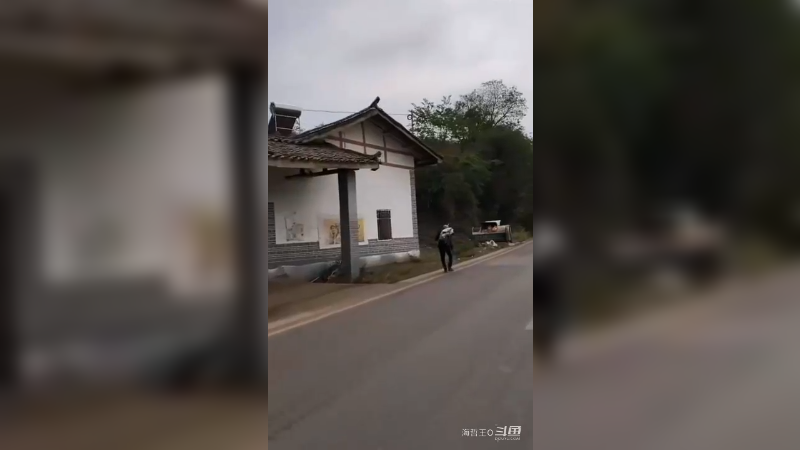 糊涂到火会烧到头发