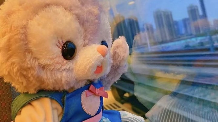 愿美好如约而至