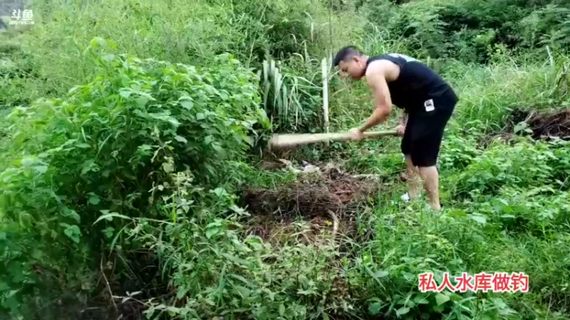 【2021-09-07 18点场】魅力生活i：欢迎吊夏来魅力