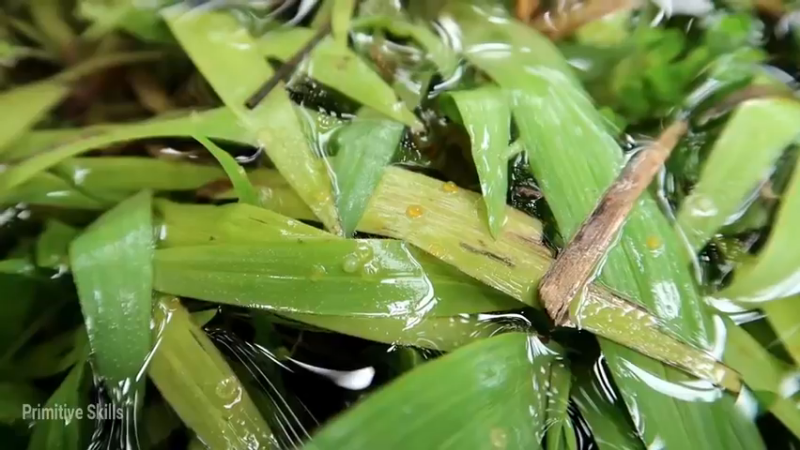 精剪回顾1号基26淡水养殖8【传统技术-真人我的世界-空手发展-单人炼铁】