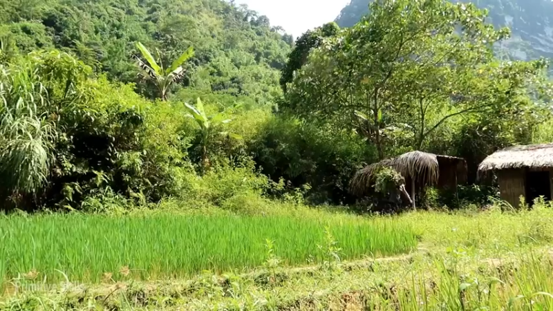 D2季经典T30鱼苗和稻田(8)【真人我的世界-空手发展-单人炼铁】