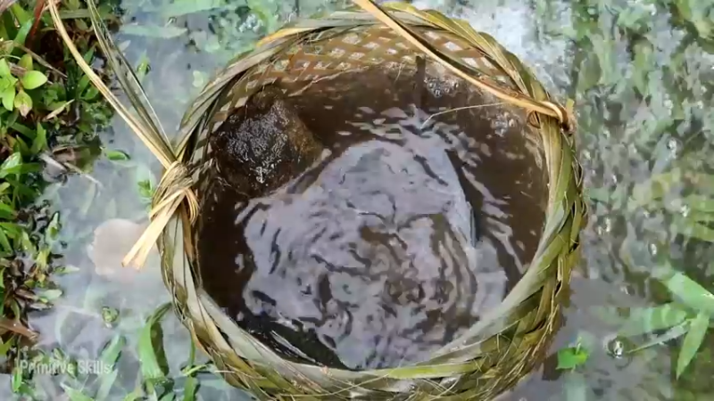 D2季经典T26鱼卵变小鱼(1)【真人我的世界-空手发展-单人炼铁】