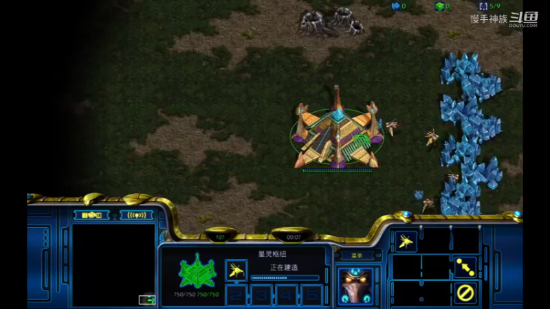 pvz输了就不不退的虫族2021-09-08