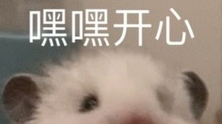 游戏日常