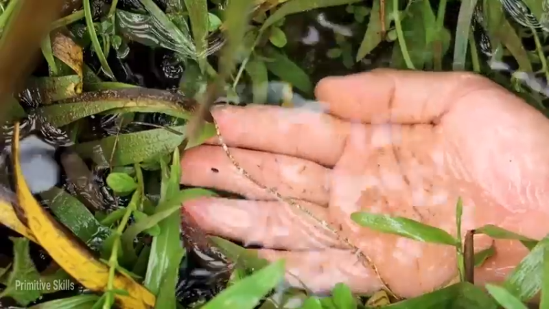 D2季经典T28鱼苗(5)【真人我的世界-空手发展-单人炼铁】