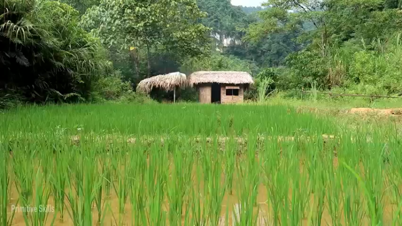 D2季经典T28鱼苗(1)【真人我的世界-空手发展-单人炼铁】