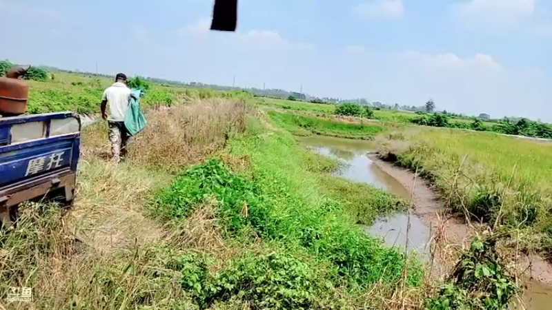 【2021-09-08 12点场】洪湖小肖：怼坑！十点半上线