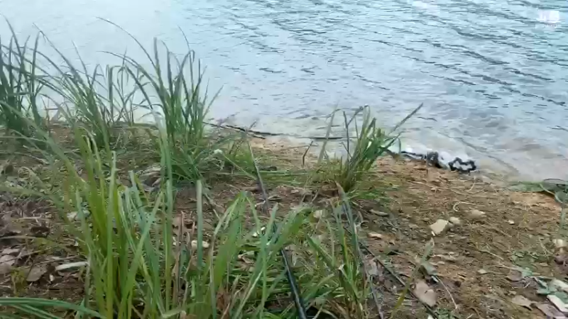 【2021-09-08 14点场】魅力生活i：户外美食钓钓鱼