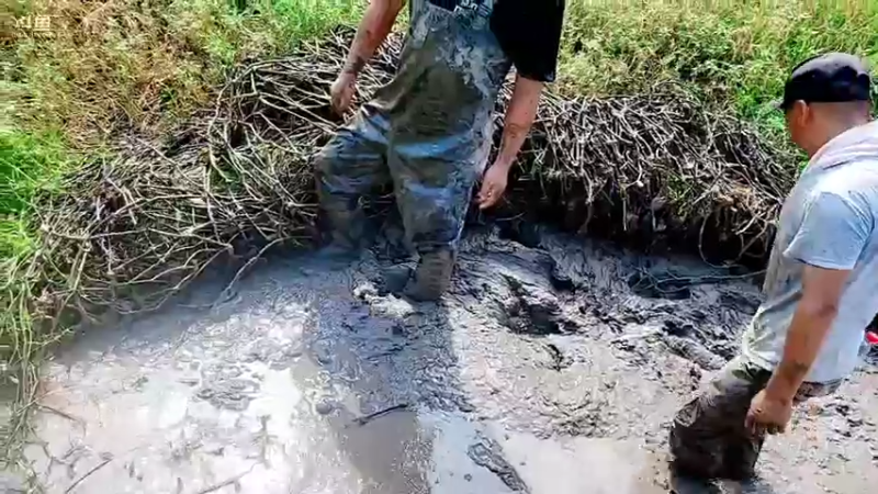 【2021-09-08 14点场】洪湖小肖：怼坑！十点半上线