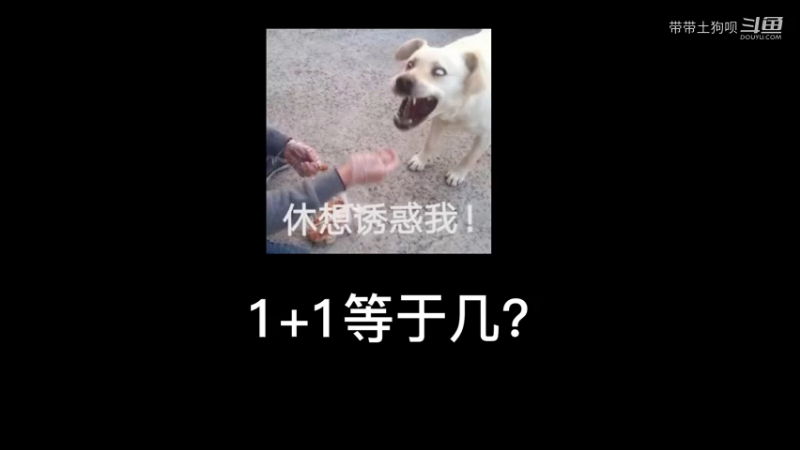 1+1等于几?