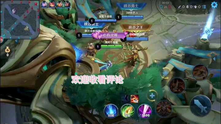王者荣耀笑笑小金蟾元芳