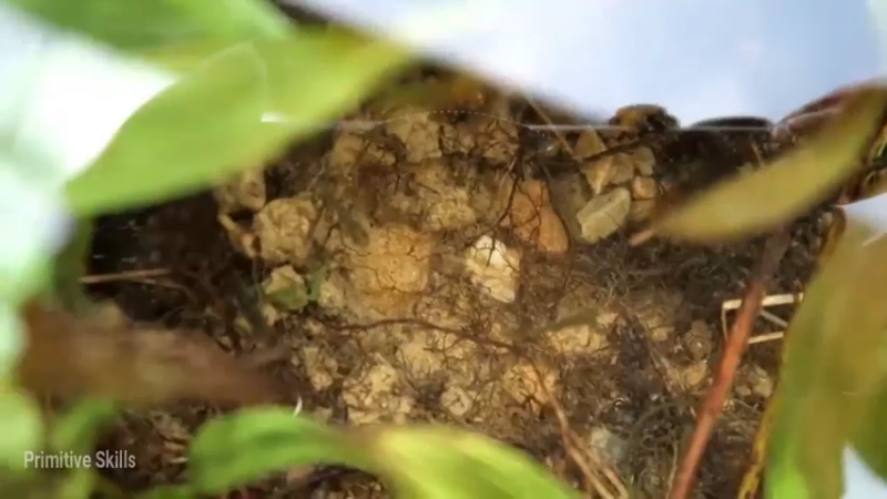 D2季经典T30鱼苗和稻田(2)【真人我的世界-空手发展-单人炼铁】