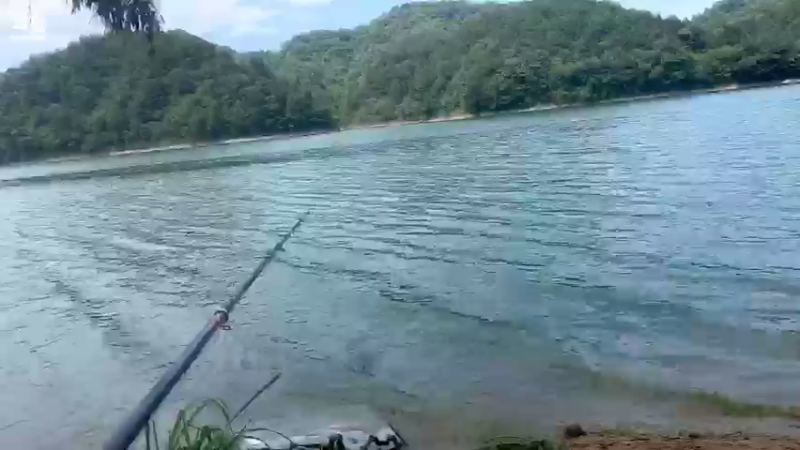 【2021-09-08 13点场】魅力生活i：大家12点见