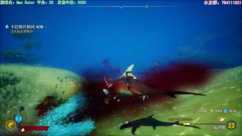 【2021-09-07 20点场】猫波：我，浅海巨鲲