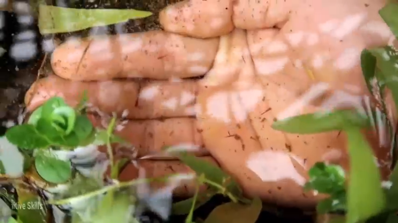 D2季经典T28鱼苗(4)【真人我的世界-空手发展-单人炼铁】