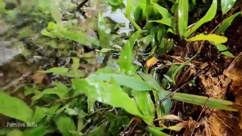 D2季经典T26鱼卵变小鱼(8)【真人我的世界-空手发展-单人炼铁】